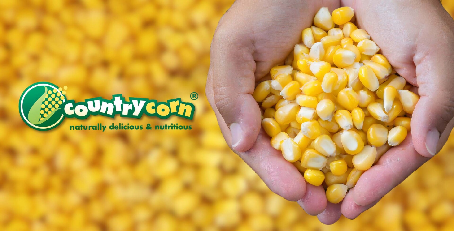 Country Corn brand