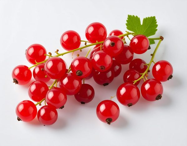 Redcurrants 10x1kg