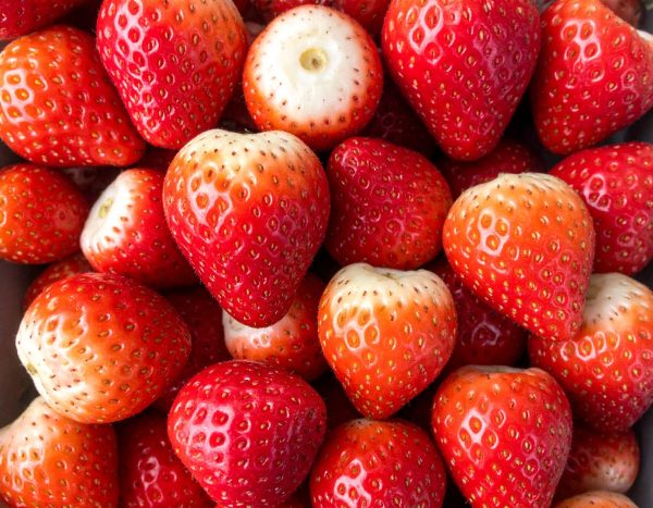 Strawberries 10x1kg