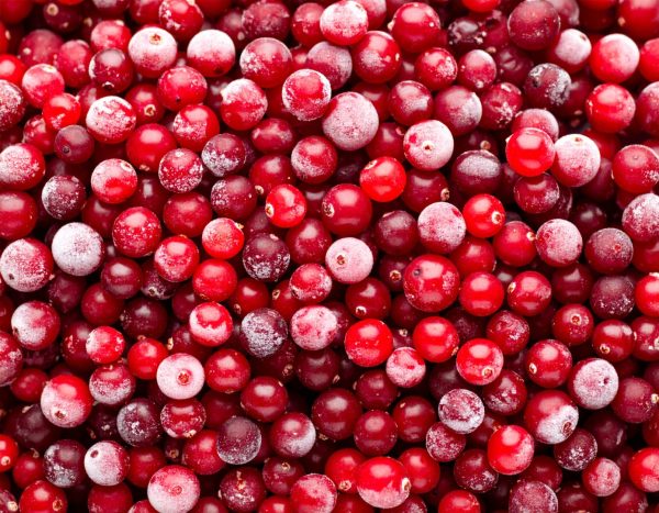 Cranberries Organic 8 x 1Kg - Image 2
