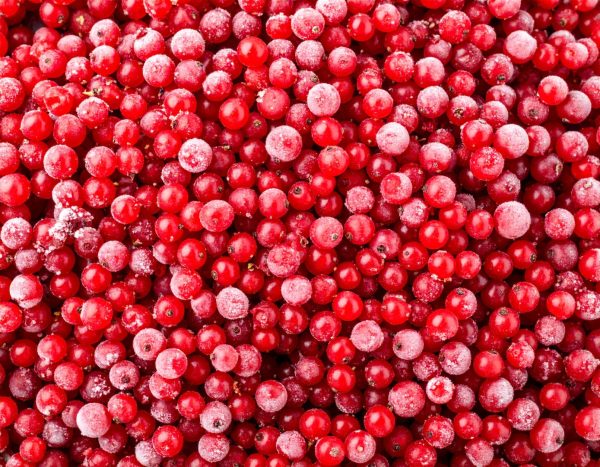 Redcurrants 10x1kg - Image 2