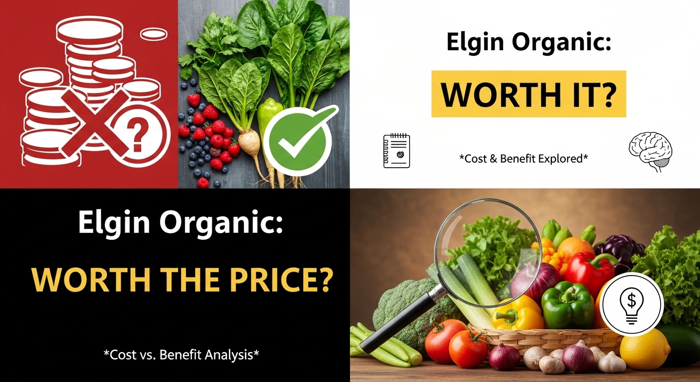 Certified Elgin Organic Cost: Is It Truly Worth the Price? Benefits vs. Cost Analysis